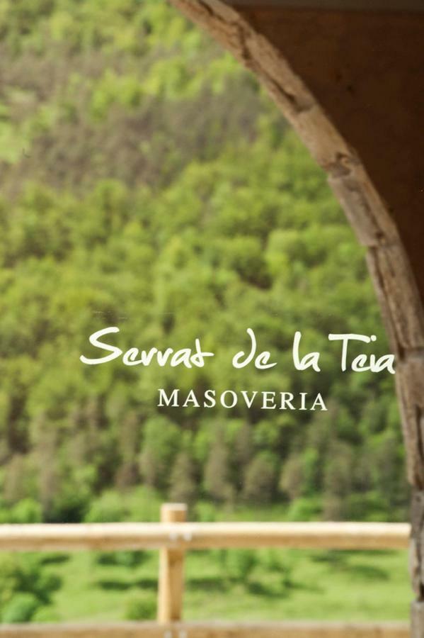 Mas Serrat De La Teia Sant Joan de les Abadesses Bagian luar foto